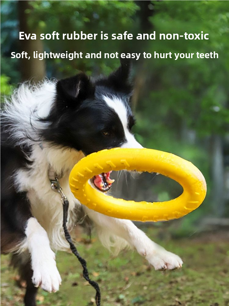 CIRCULAR FRISBEE FOR DOG