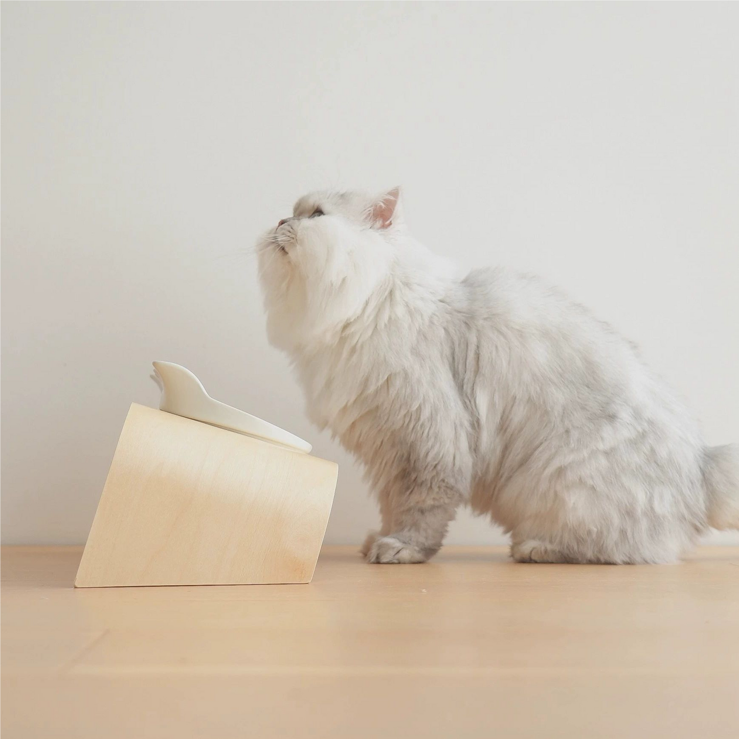 MUJI-style pet cat and dog bowl rack.