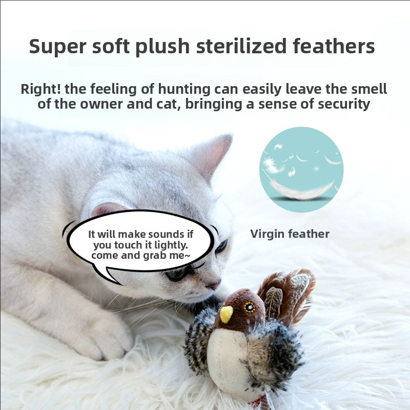 Cat teaser wands