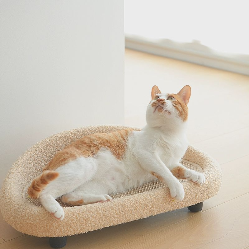 SOFA FOR CAT