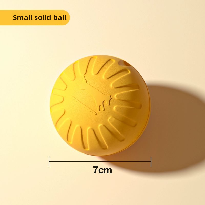 CIRCULAR FRISBEE FOR DOG