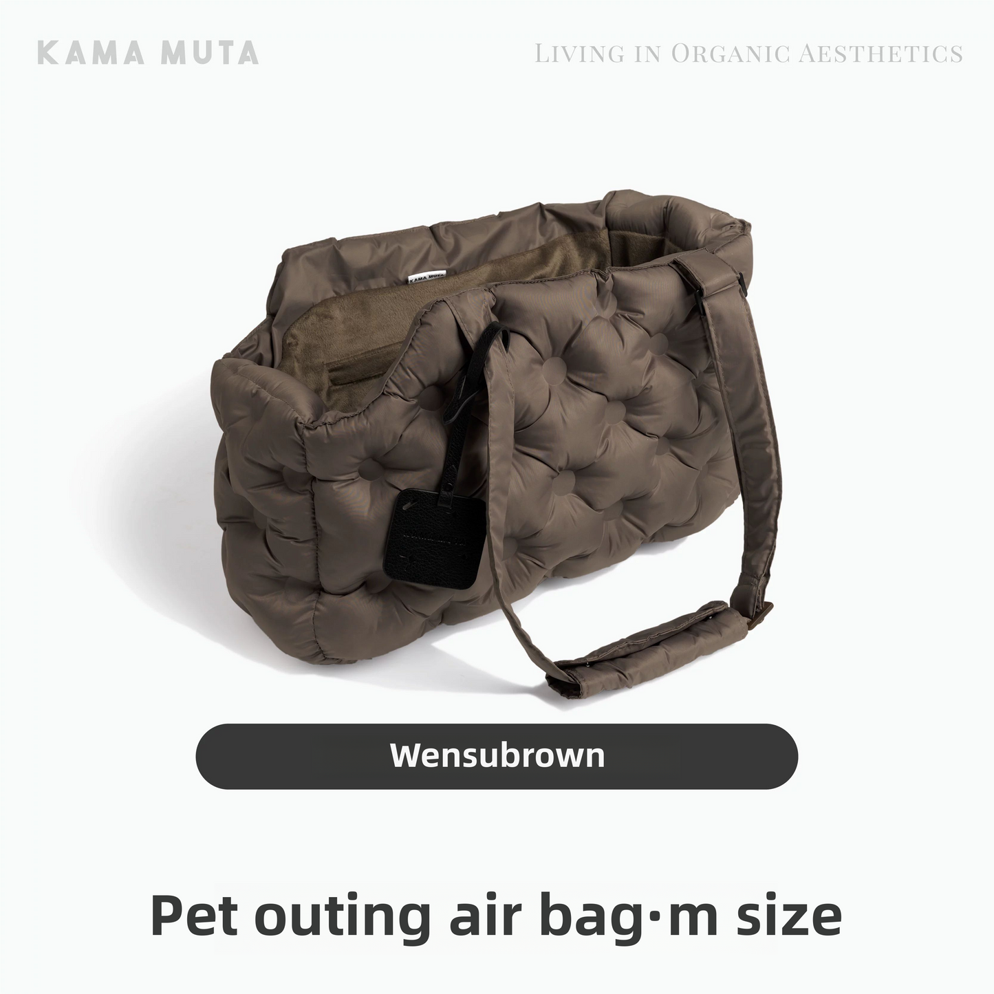 PET AIR OUTING BAG