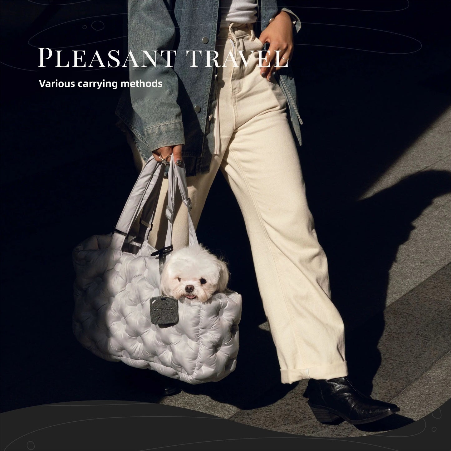 PET AIR OUTING BAG