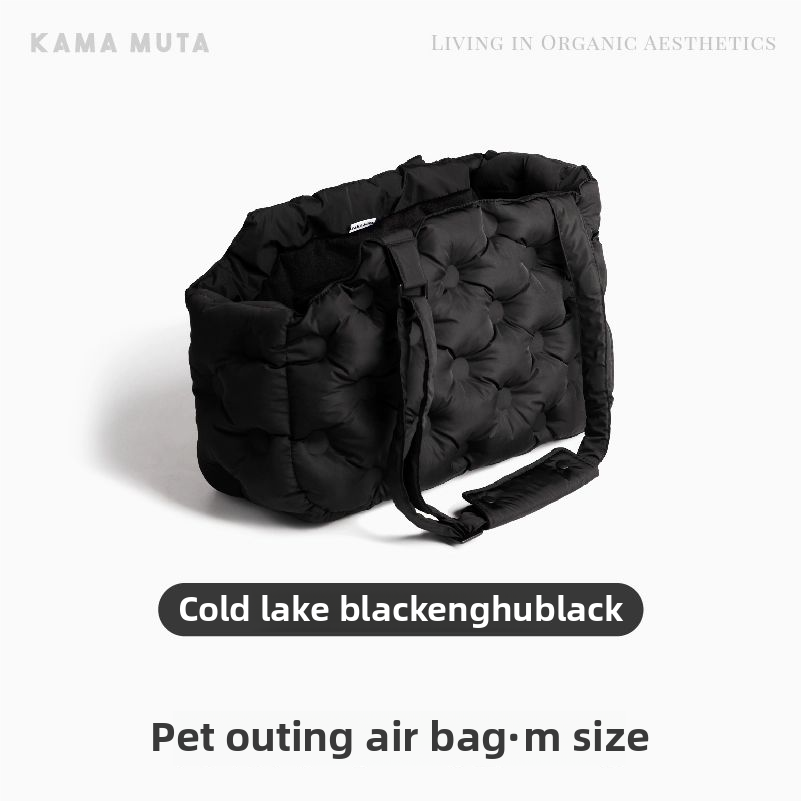 PET AIR OUTING BAG