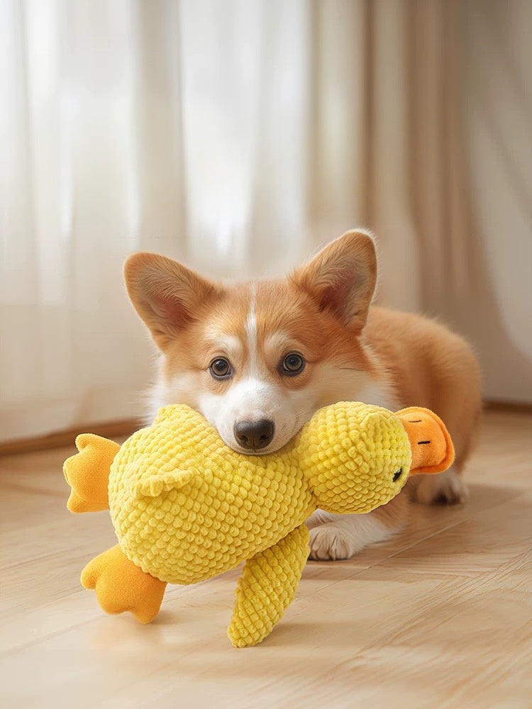 Dog Toy