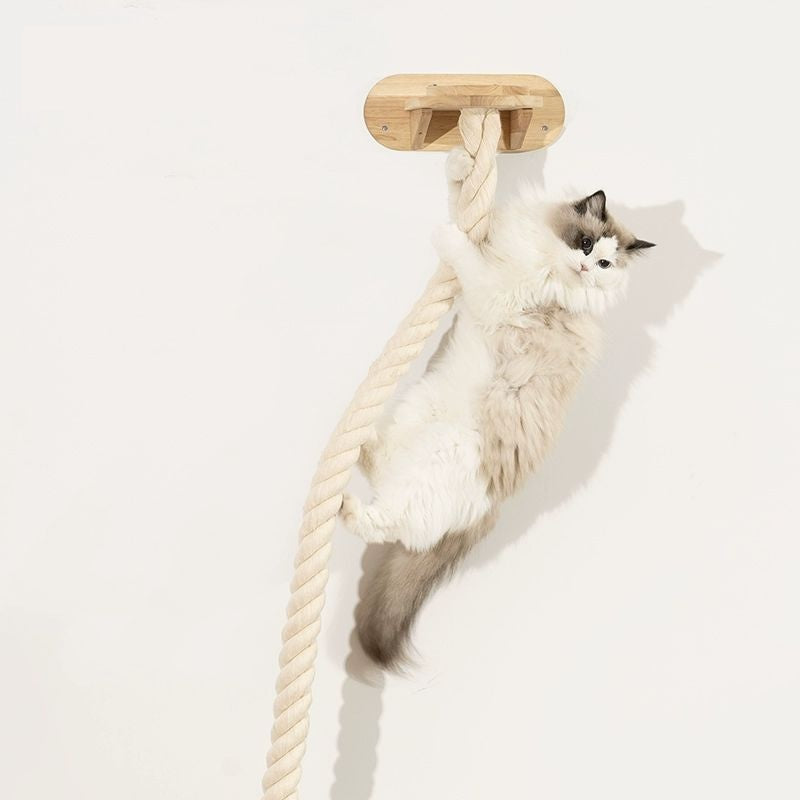 Cat Toy