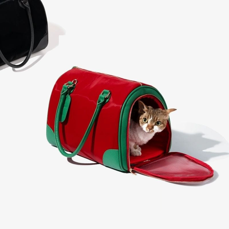 Cat Carrier