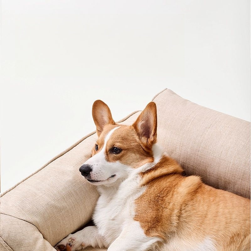 Dog Bed