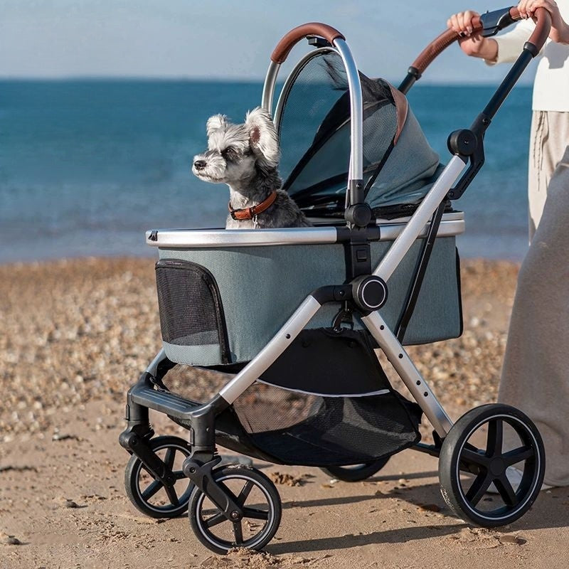 Dog Carrier