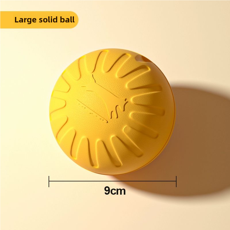 CIRCULAR FRISBEE FOR DOG