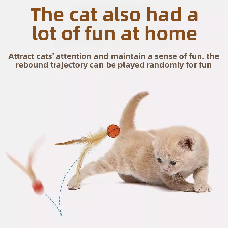 CAT TEASING BALL