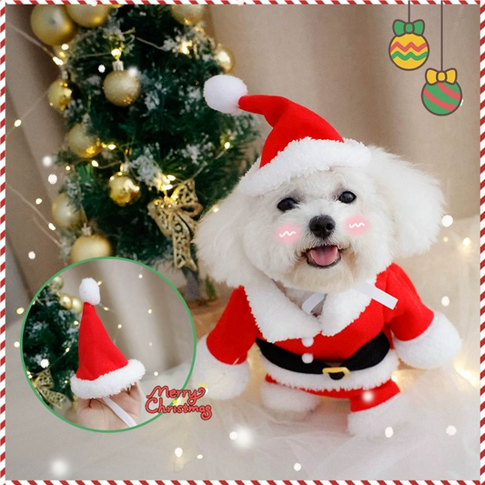 PET DOG CLOTHES