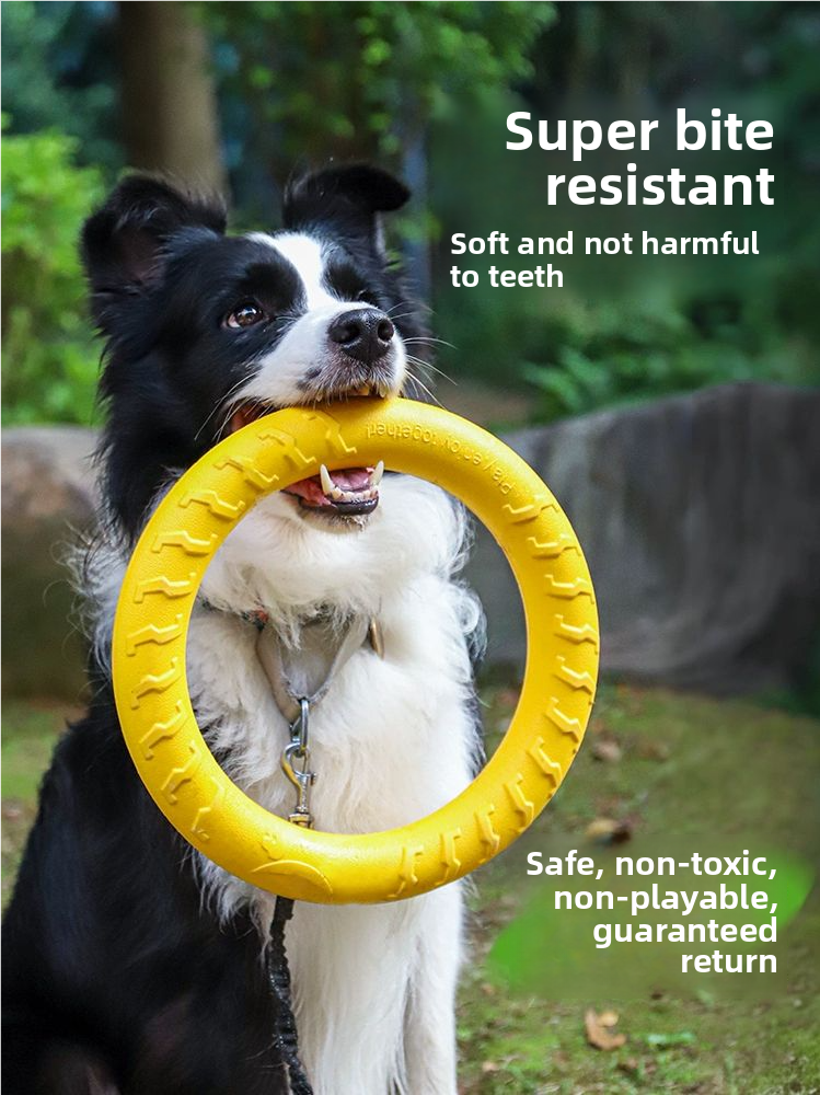CIRCULAR FRISBEE FOR DOG