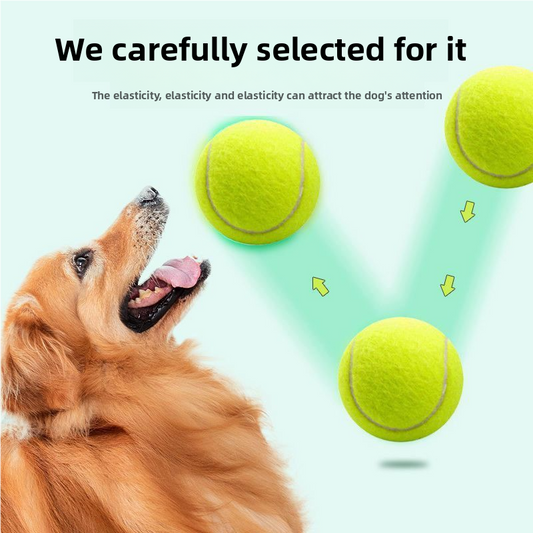Dog tennis balls