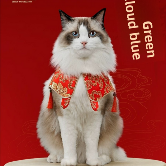 CAT BIB