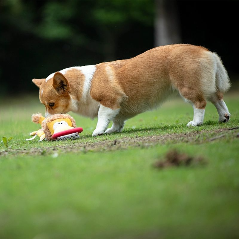 Dog toys
