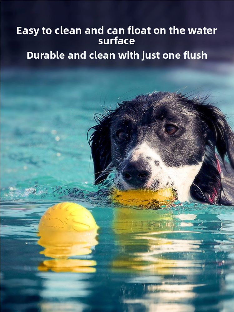 CIRCULAR FRISBEE FOR DOG