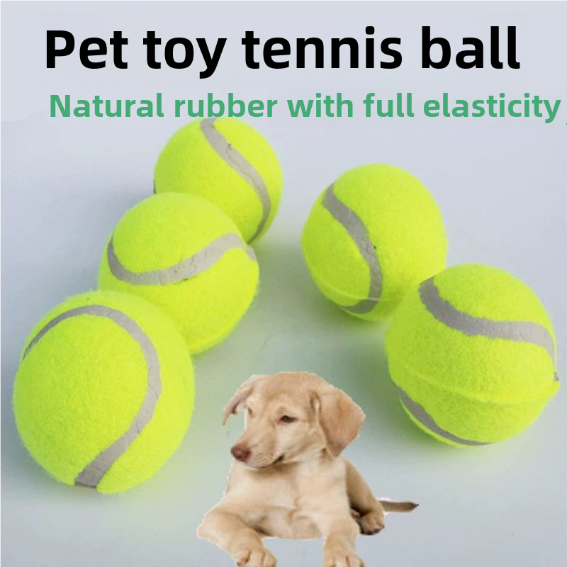 Dog tennis balls