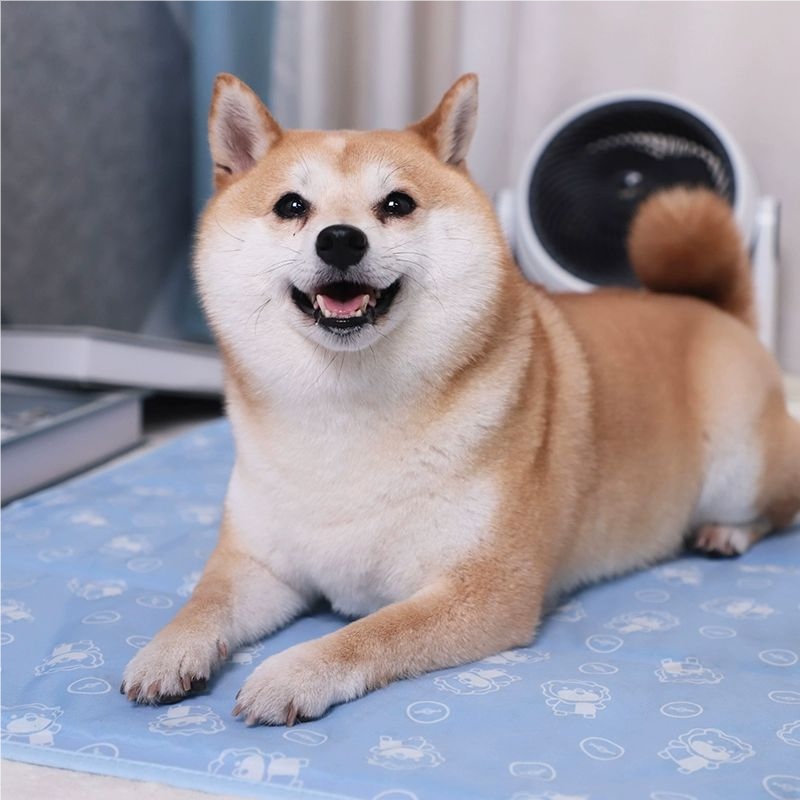 Pet ice mat