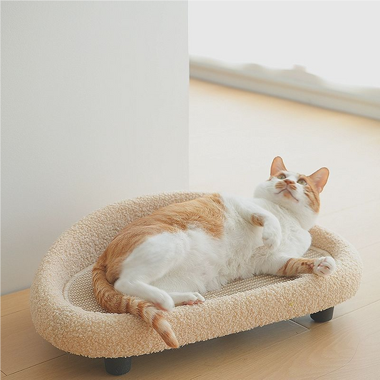 SOFA FOR CAT