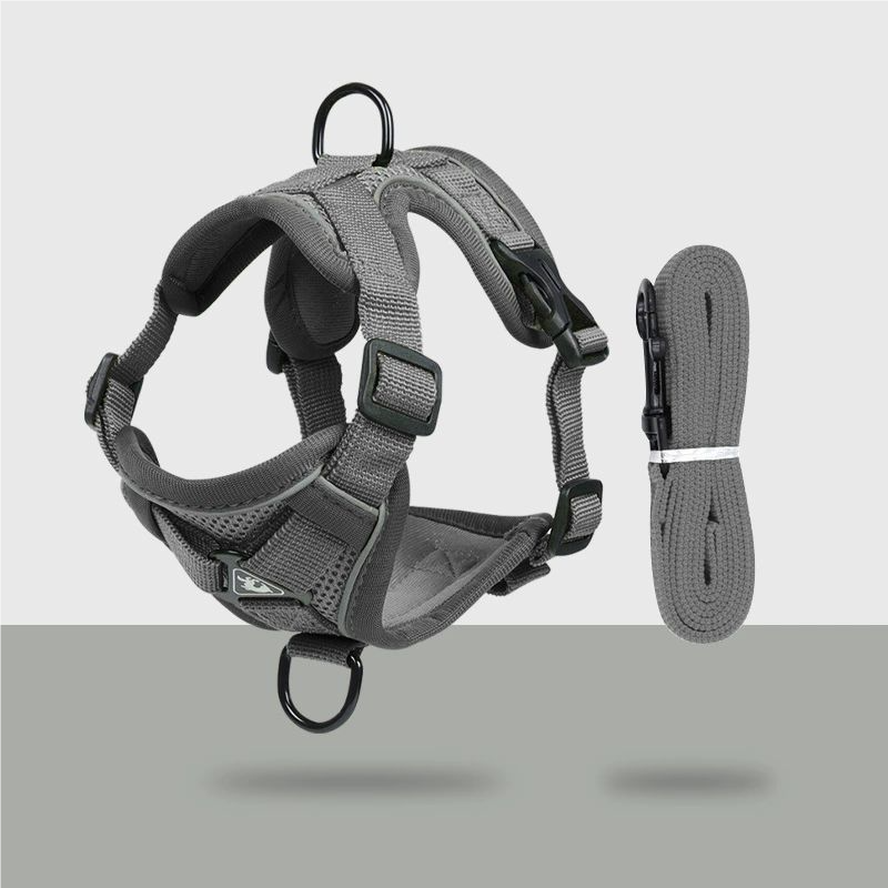 Cat leash