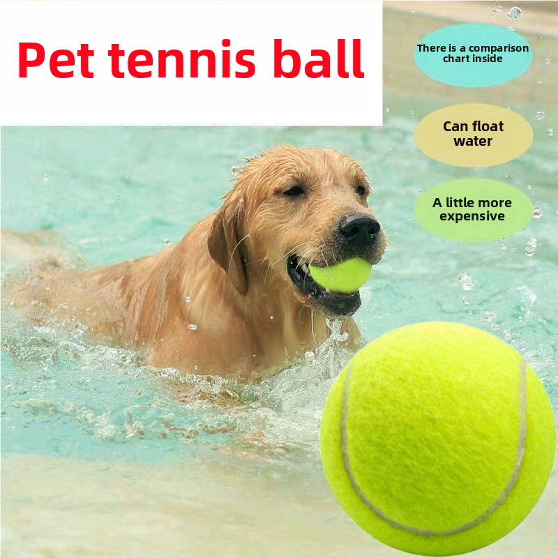 Dog tennis balls