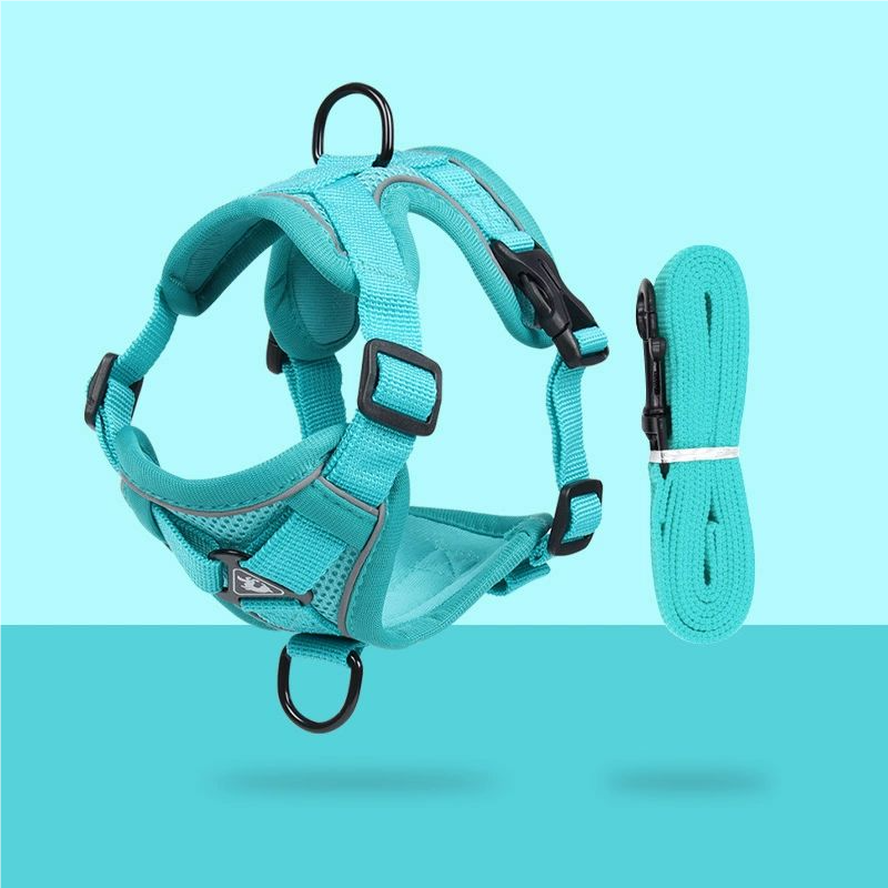 Cat leash