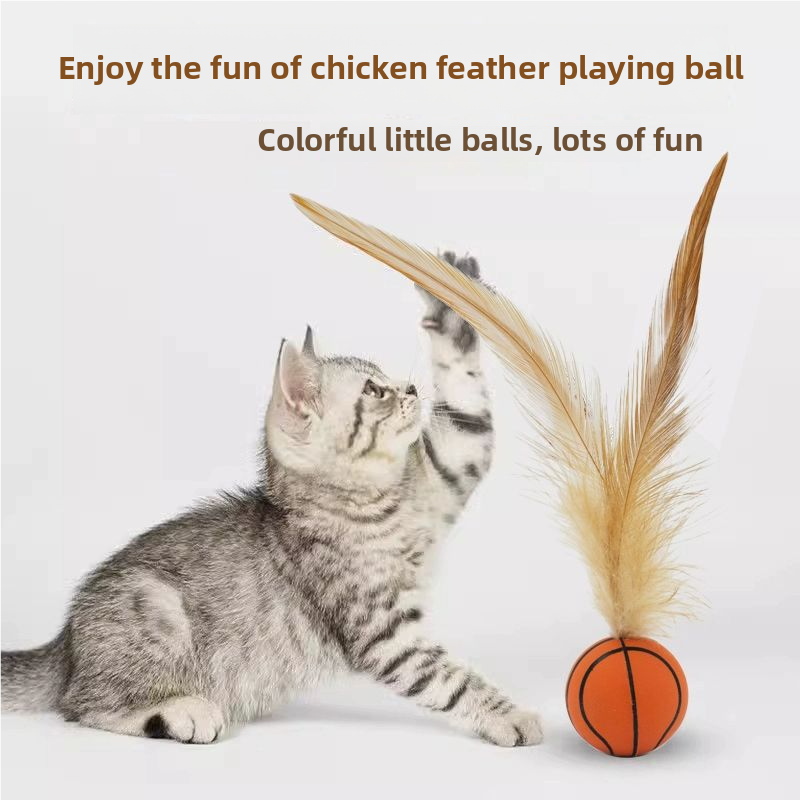 CAT TEASING BALL