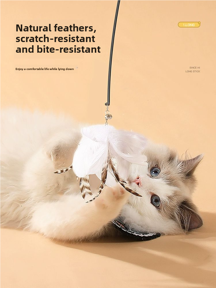 Cat teaser wands