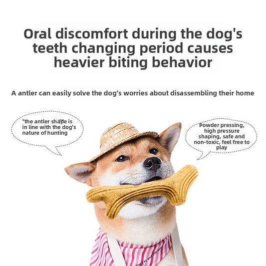 DOG TOY TEETH STICK