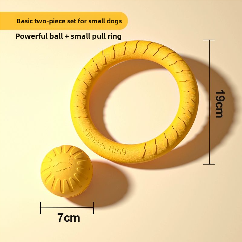 CIRCULAR FRISBEE FOR DOG