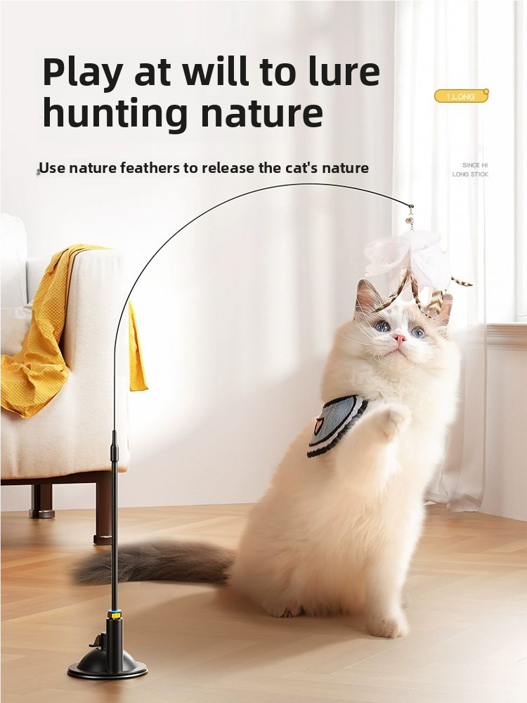 Cat teaser wands