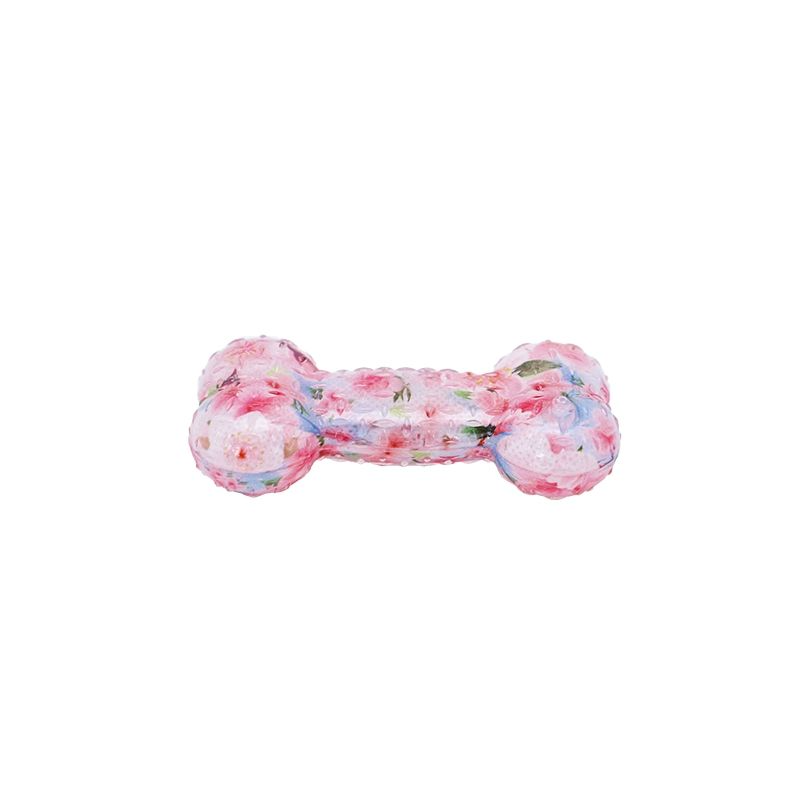 Squeaky bone