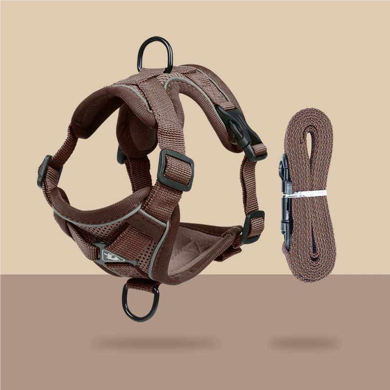 Cat leash