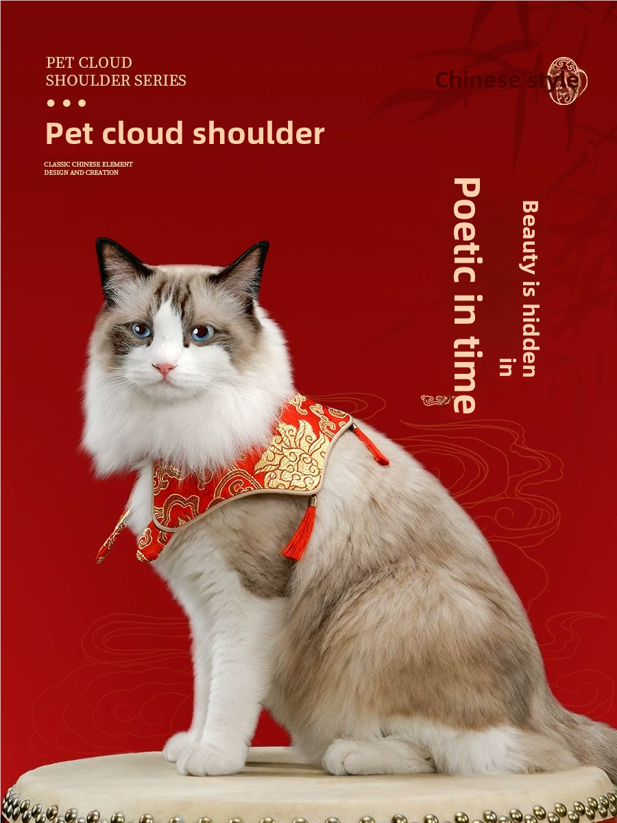 CAT BIB