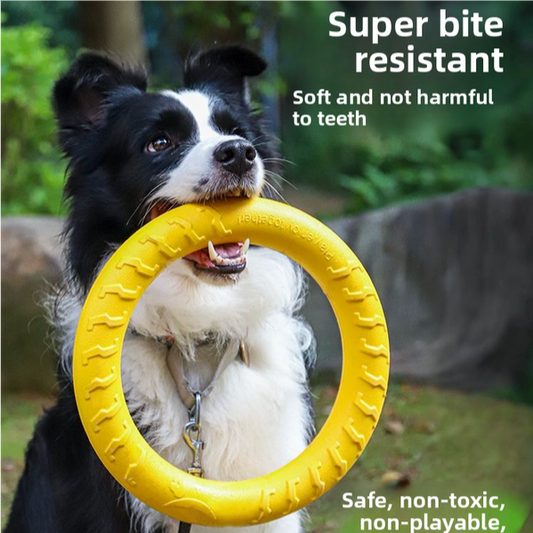 CIRCULAR FRISBEE FOR DOG