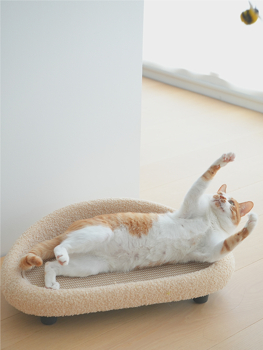 SOFA FOR CAT