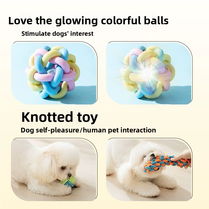 DOG TOY GIFT PACKAGE