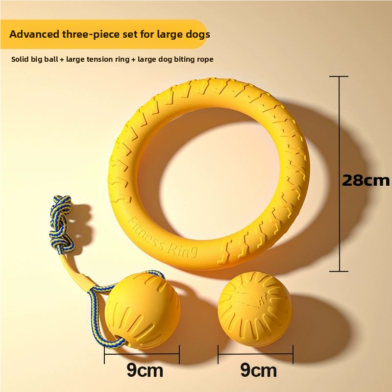 CIRCULAR FRISBEE FOR DOG
