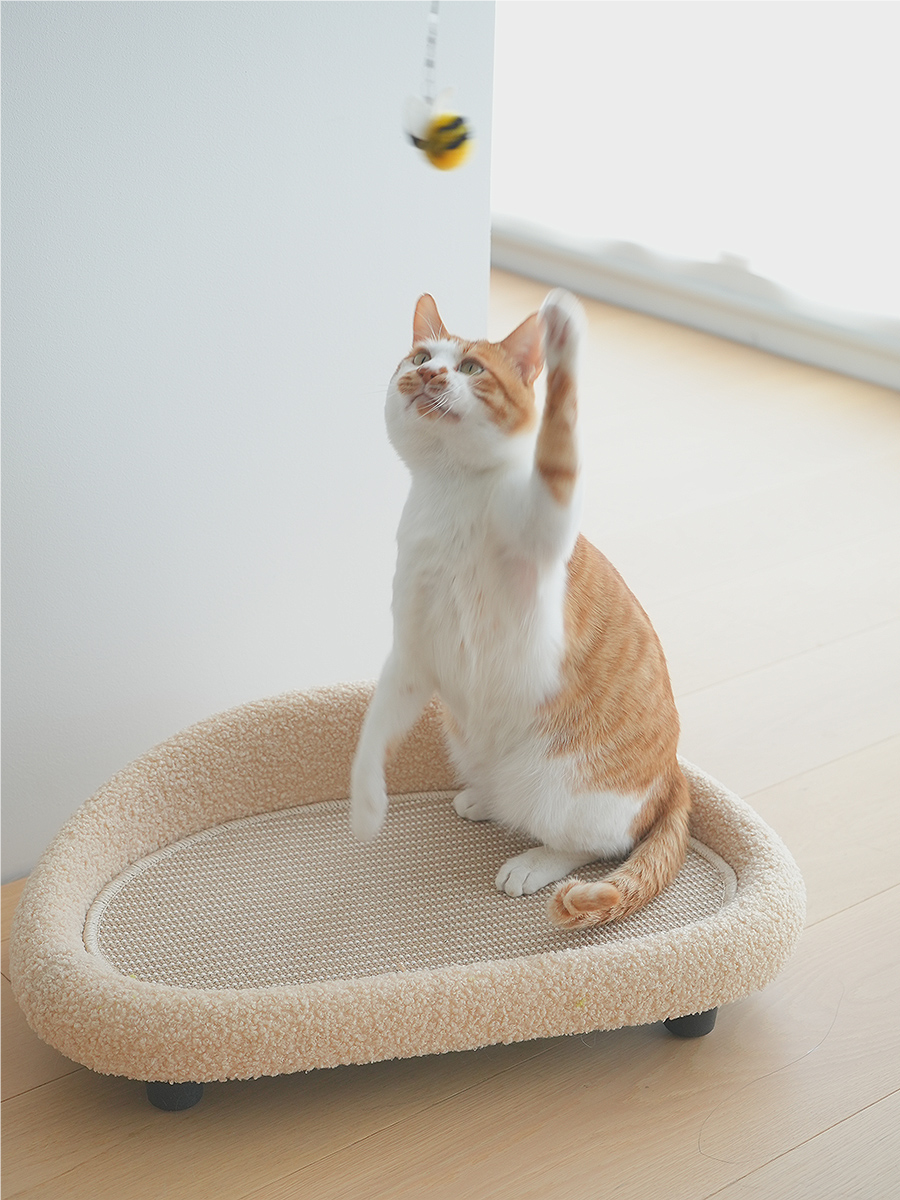 SOFA FOR CAT