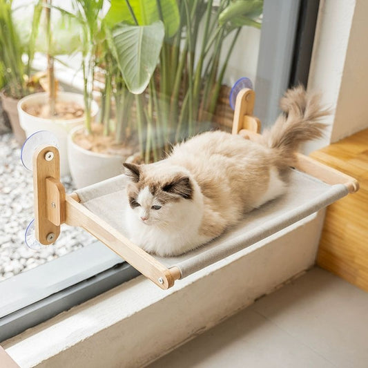 Hanging cat shelf