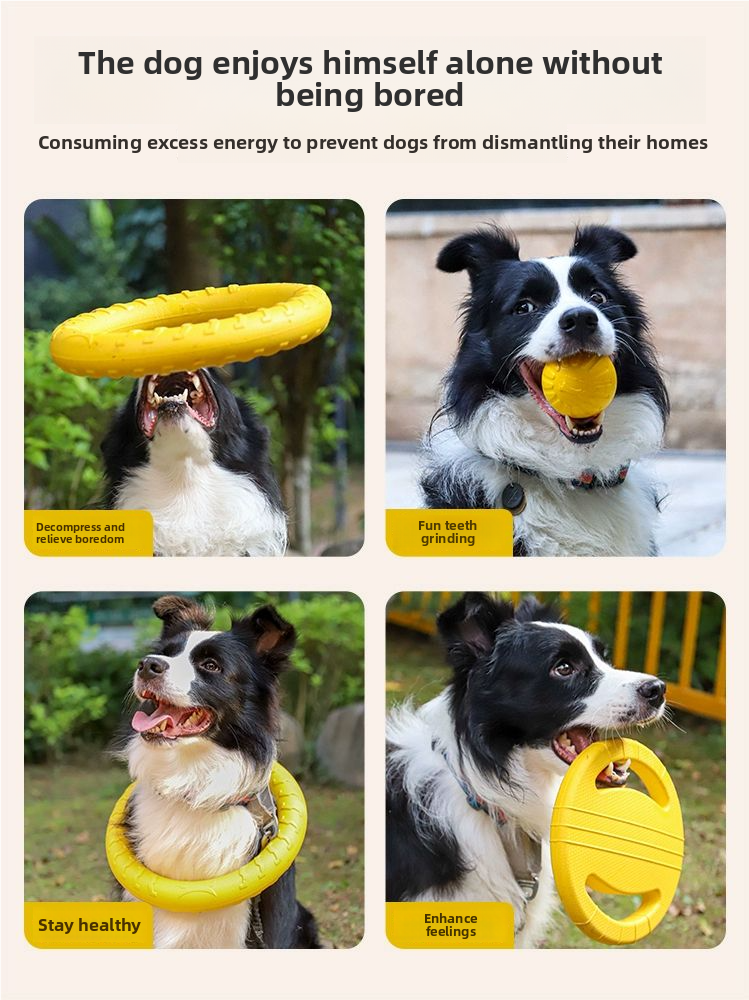 CIRCULAR FRISBEE FOR DOG