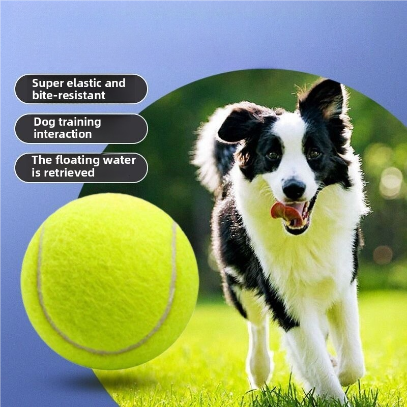 Dog tennis balls