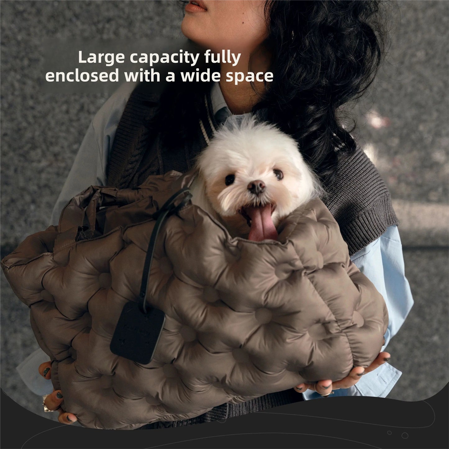 PET AIR OUTING BAG