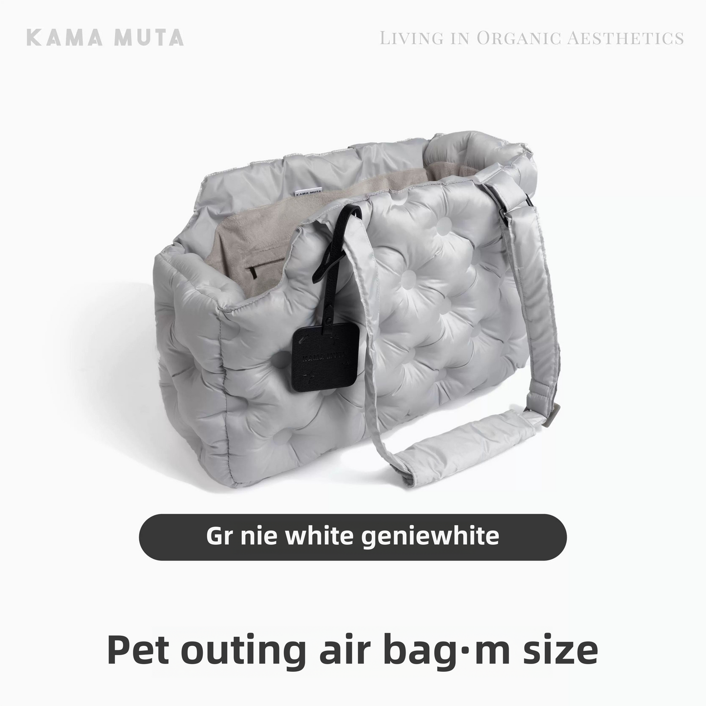 PET AIR OUTING BAG